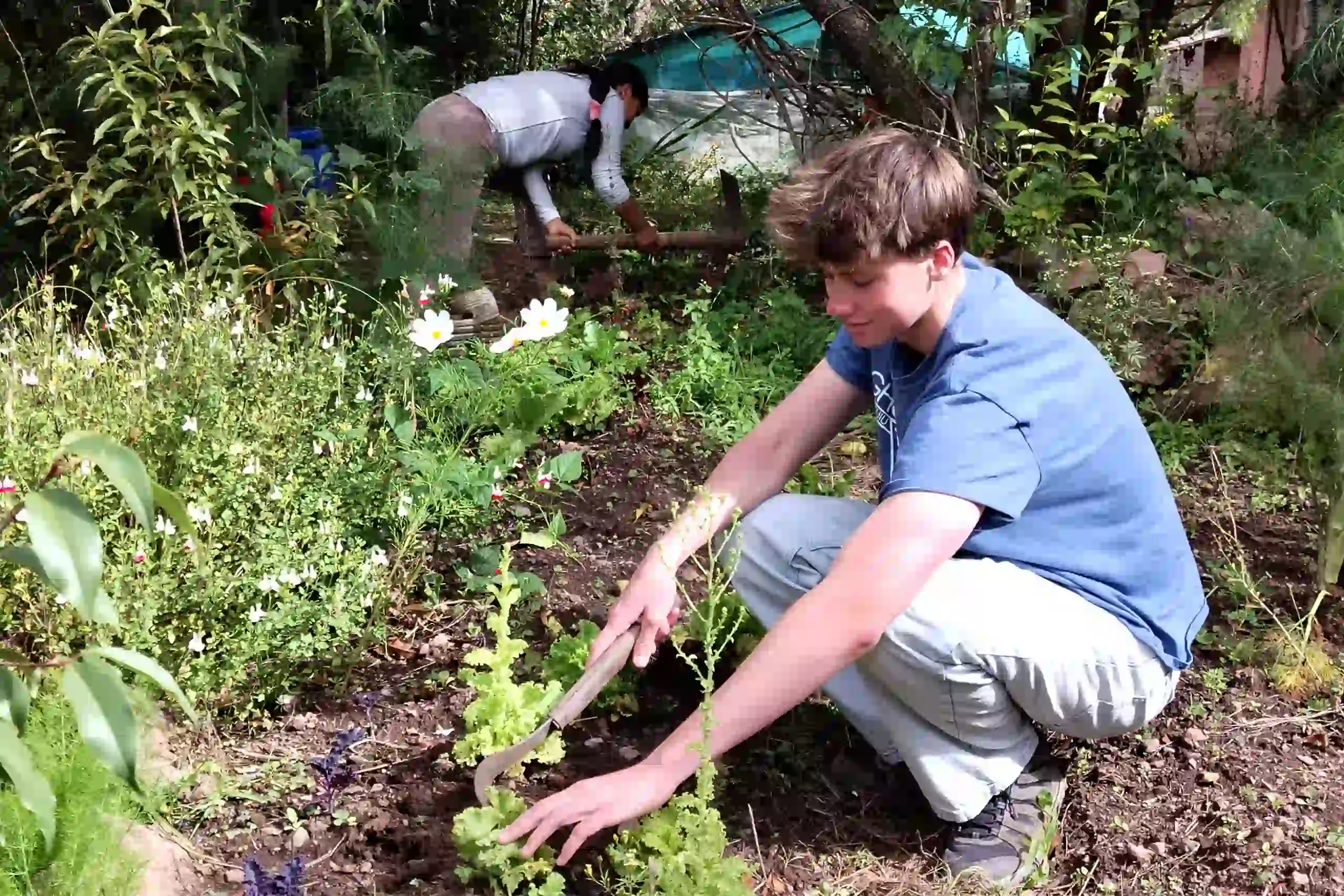 Traditional Methods in Sustainable Agriculture